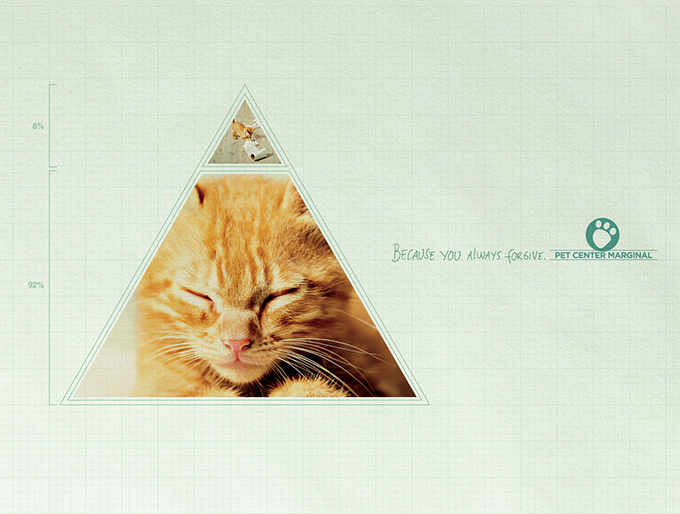 Gato triángulo
